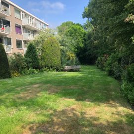 Urban-value-bouw_Alexanderpolder-in-uitvoering_3975