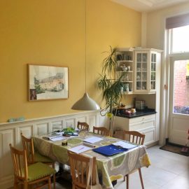 Urban-value-bouw_Statenkwartier-in-uitvoering_6907